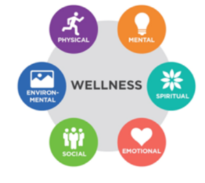 An example of a model of wellness